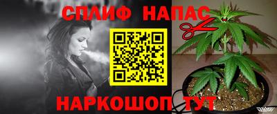 ECSTASY Будённовск