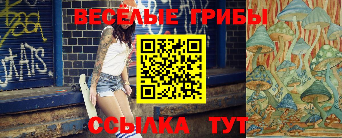 как найти   Вход с VPN  Галлюциногенные грибы мицелий  Комсомольск-на-Амуре  Галлюциногенные грибы Psilocybine cubensis 